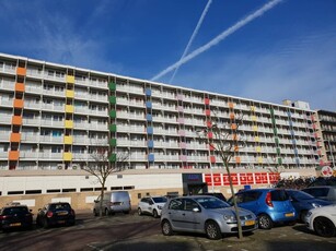 Appartement in Leiden met 4 kamers