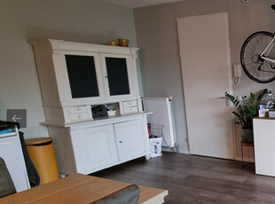 Appartement te huur Koeriersterweg, Groningen