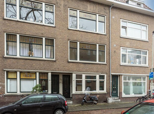 Borgesiusstraat 3B 01