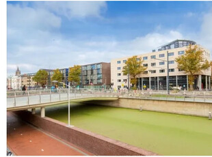 Kamer van 24 m² in Delft