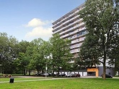 Agavedreef in Utrecht (65m2)