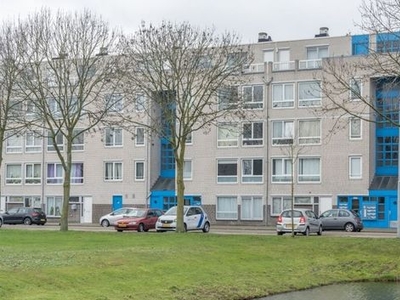 Bernard Shawsingel in Amsterdam (130m2)