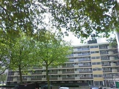 Erasmuslaan in Hilversum (55m2)