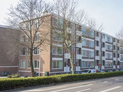 Gordelweg in Rotterdam (70m2)