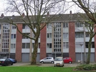 Grote Ruwenberg in Amsterdam (65m2)