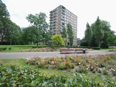 Hendrinaland in Den Haag (70m2)