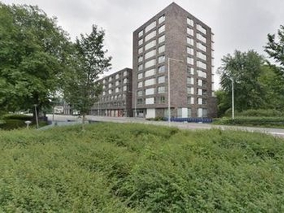 IJdoornlaan in Amsterdam (102m2)