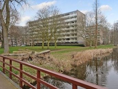 Isabellaland in Den Haag (60m2)