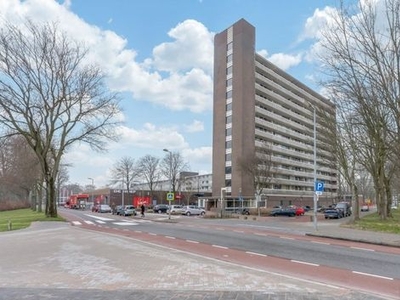 Judith Leysterstraat in Alkmaar (65m2)