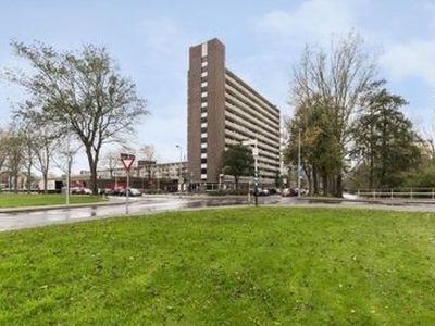 Judith Leysterstraat in Alkmaar (65m2)