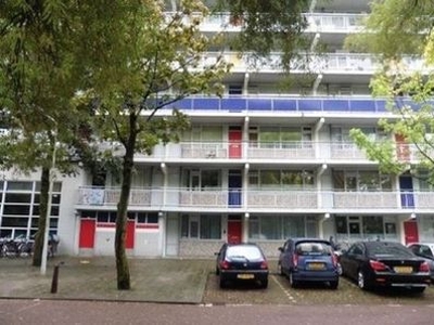 Milanenhorst in Leiden (54m2)