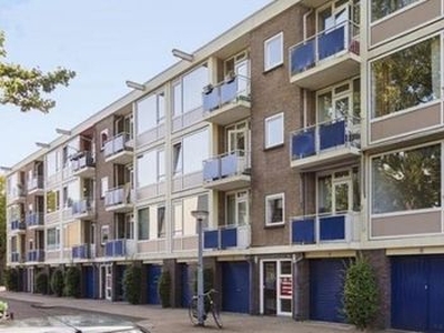 Onstein in Amsterdam (80m2)