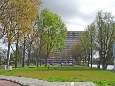 Oost Dorsch in Zaandam (64m2)