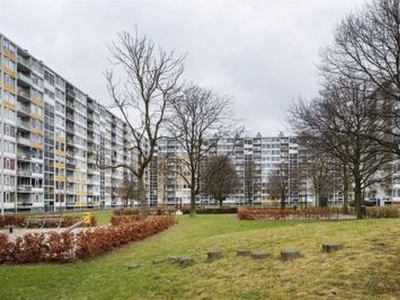 Pahud de Mortangesdreef in Utrecht (53m2)