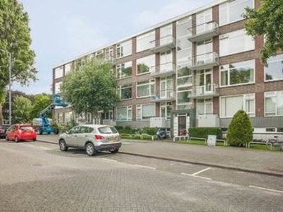 Peppelweg in Rotterdam (60m2)