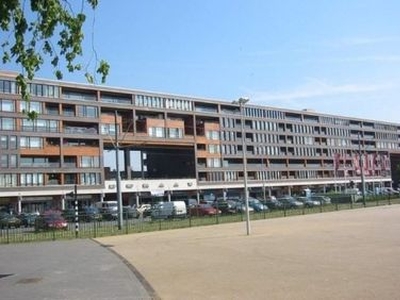 Pieter Calandlaan in Amsterdam (80m2)