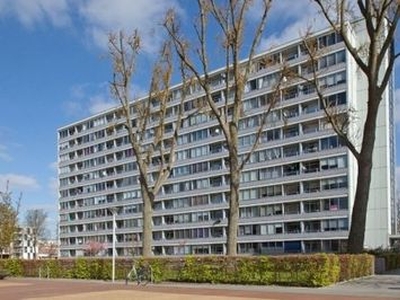 Plein 1953 in Rotterdam (54m2)