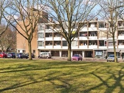 Populierenlaan in Amstelveen (56m2)