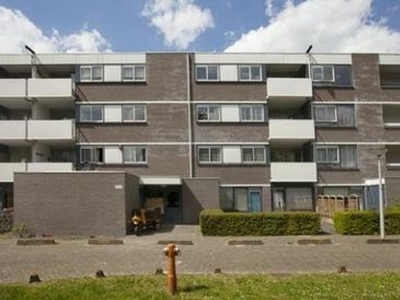 Renkumhof in Amsterdam (110m2)