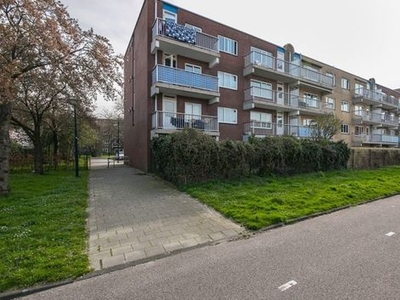 Rosa Manusstraat in Amsterdam (42m2)