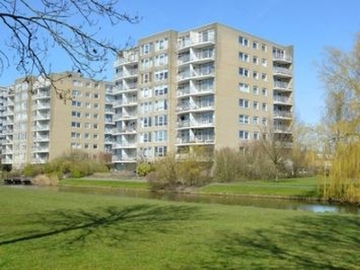 Rosa Spierlaan in Amstelveen (70m2)