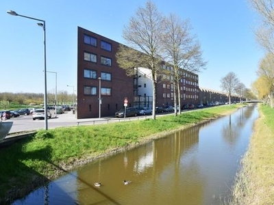 Snoekbaarssingel in Den Haag (90m2)