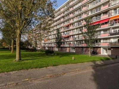 Trekvogelweg in Amersfoort (71m2)