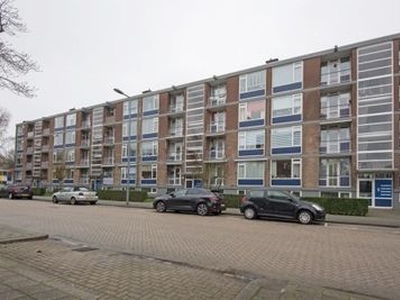 Vegelinsoord in Rotterdam (64m2)