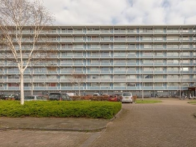 Vliestroom in Alphen aan den Rijn (45m2)