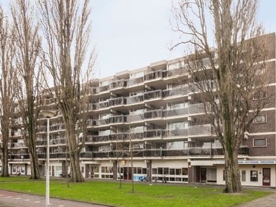 Walenburgerplein in Rotterdam (75m2)