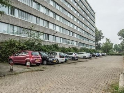 Zangvogelweg in Amersfoort (103m2)