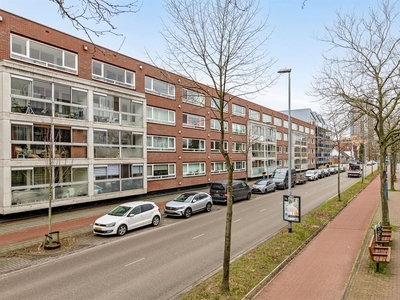 Havensingel 176