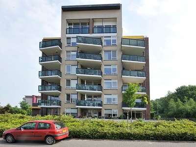 Veldzuring in Venlo (90m2)