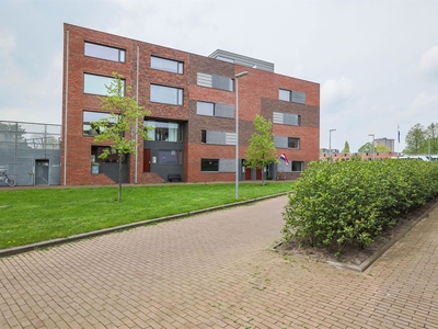 Het Hout 207