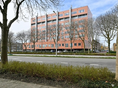 Bovendijk 54