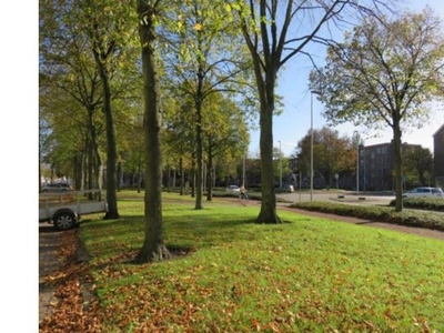 Huur 1 slaapkamer appartement in Rotterdam