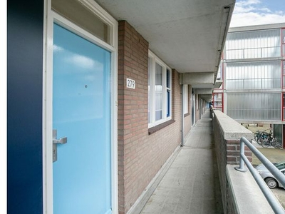 Huur 1 slaapkamer appartement van 53 m² in Alphen aan den Rijn