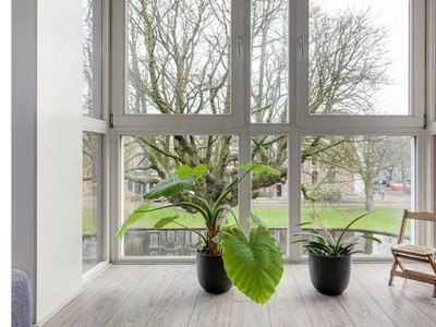 Huur 3 slaapkamer appartement van 119 m² in Rotterdam