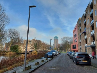 Appartement Hoge Boezem in Rotterdam