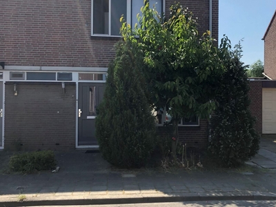 Mahoniestraat 39