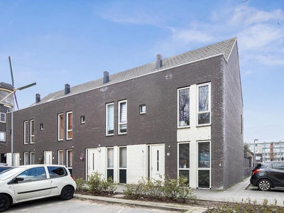 Paulus Buysstraat 14