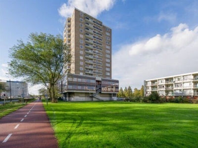 Robert Kochlaan in Haarlem (78m2)