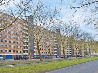 Van Nijenrodeweg in Amsterdam (34m2)