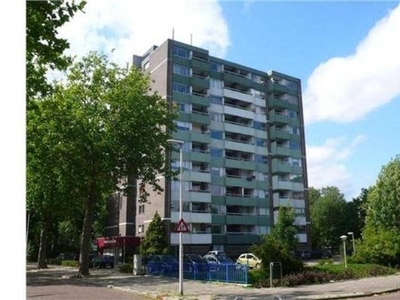 Limburglaan in Eindhoven (54m2)