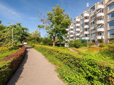 Louise de Colignylaan in Rotterdam (100m2)