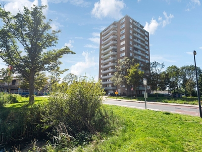 P.C. Boutensstraat in Haarlem (50m2)