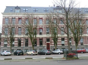 Appartement in Haarlem met 3 kamers