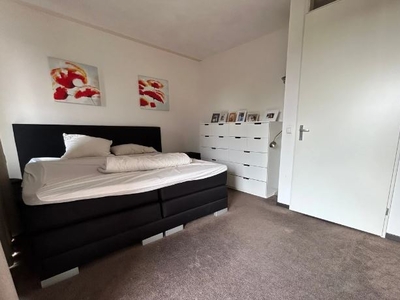 Appartement te huur Eekhoorn, Veldhoven