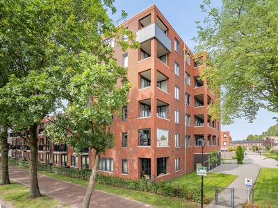 Dr. Schaepmanstraat 135