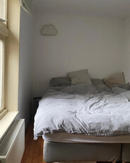 Appartement te huur Anna Paulownastraat, Groningen